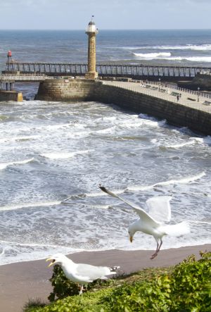 whitby harbour april 13 2012 8 sm.jpg
